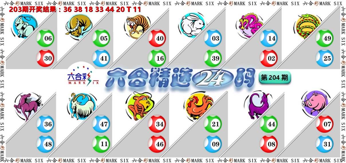 六合精选24码 第204期
