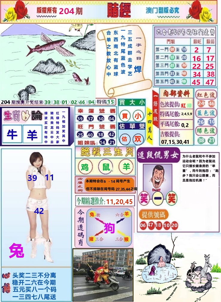 澳门赌经 第204期