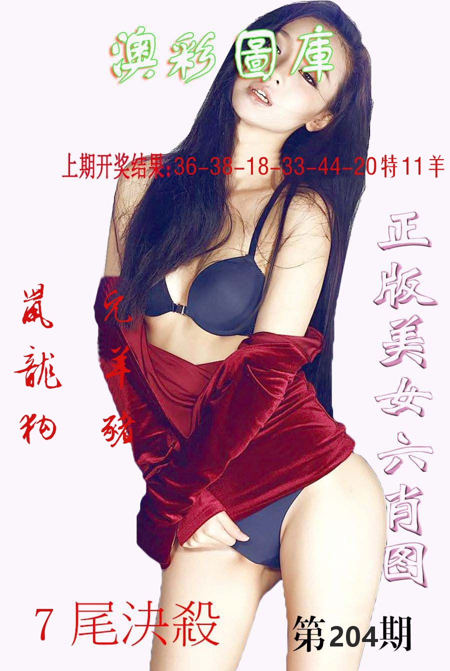 澳门图库 第204期