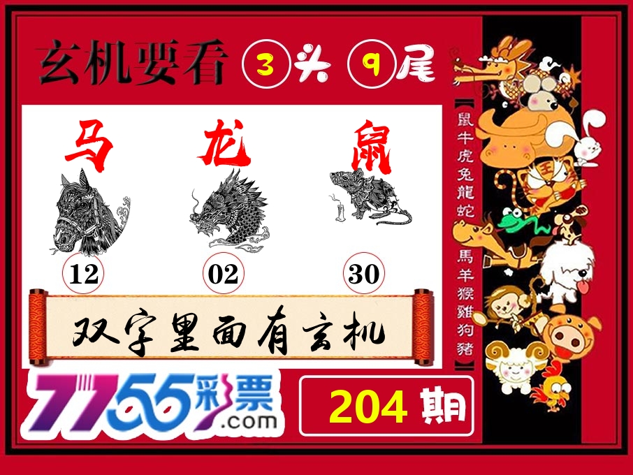 玄机要看 第204期