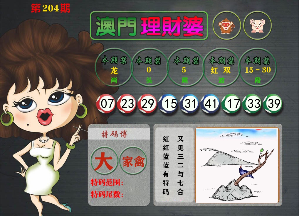 理财婆 第204期