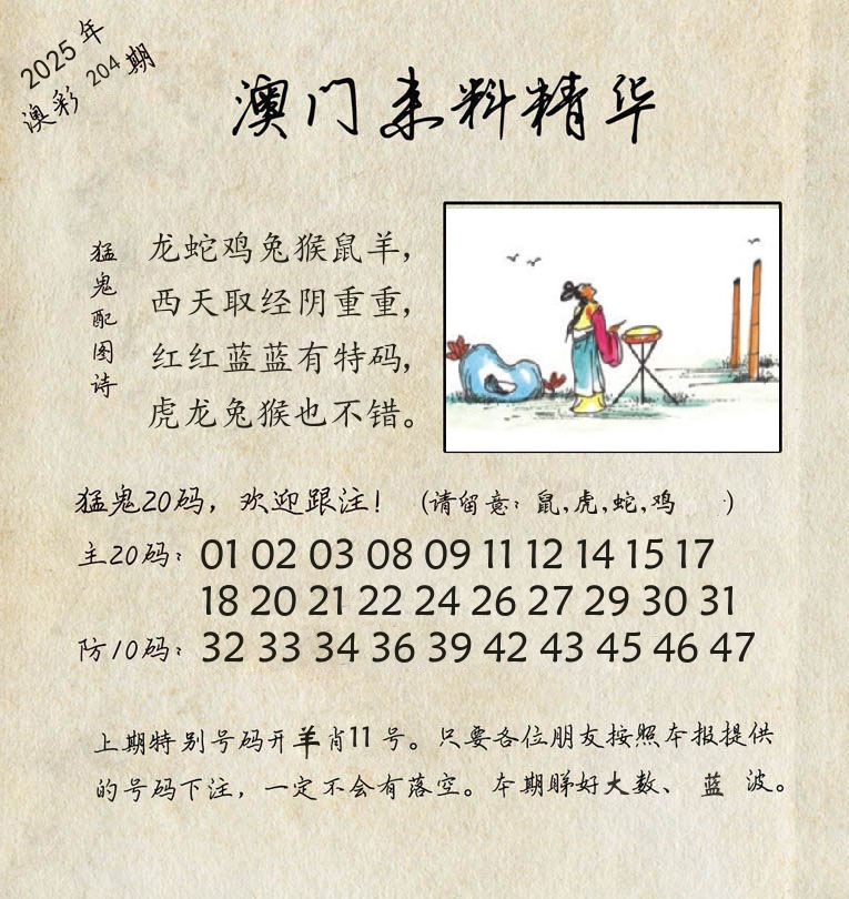 精华来料 第204期