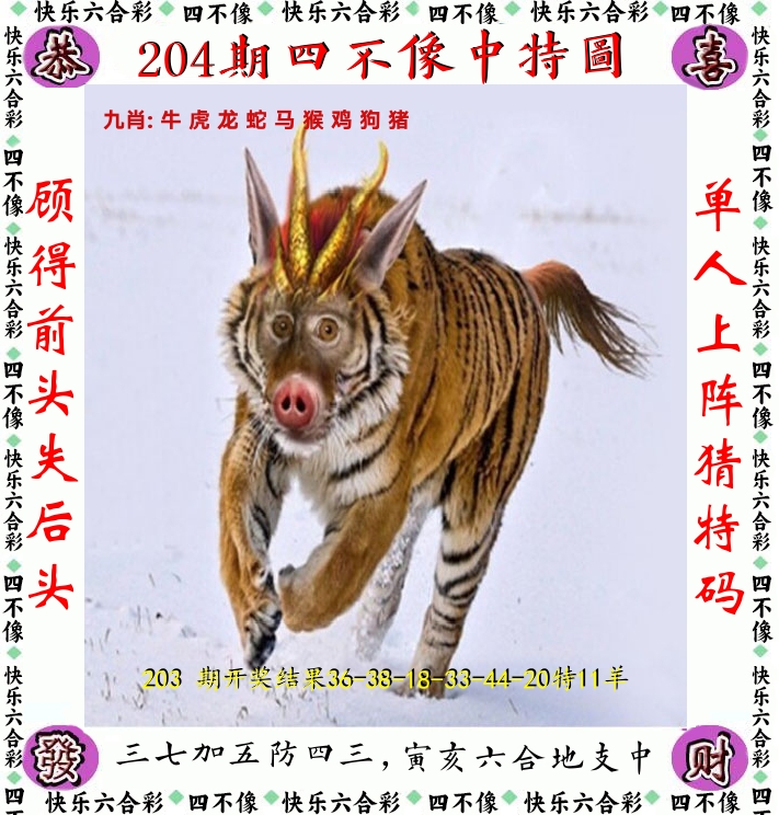 四不像 第204期