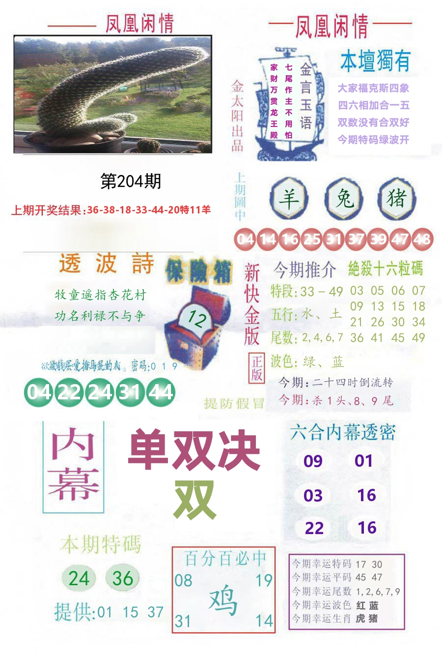 凤凰闲情 第204期