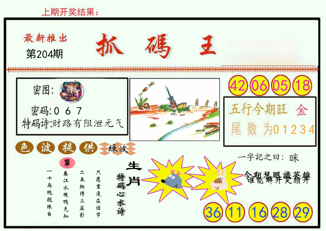 最新抓码王 第204期