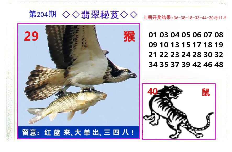 翡翠秘芨 第204期