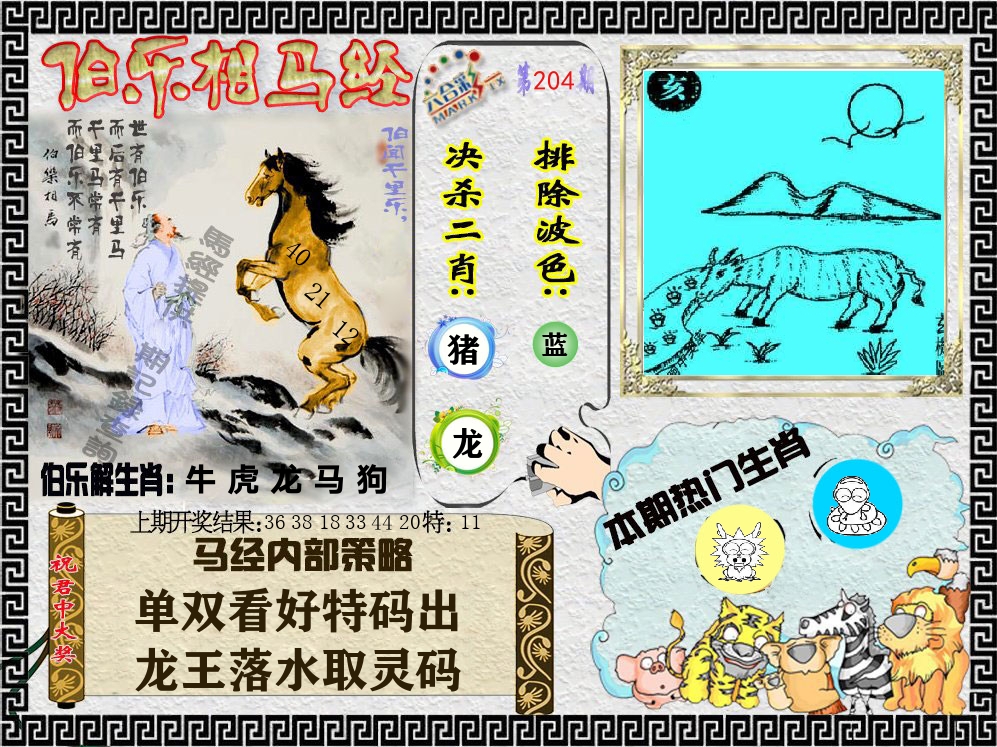 伯乐相马经 第204期
