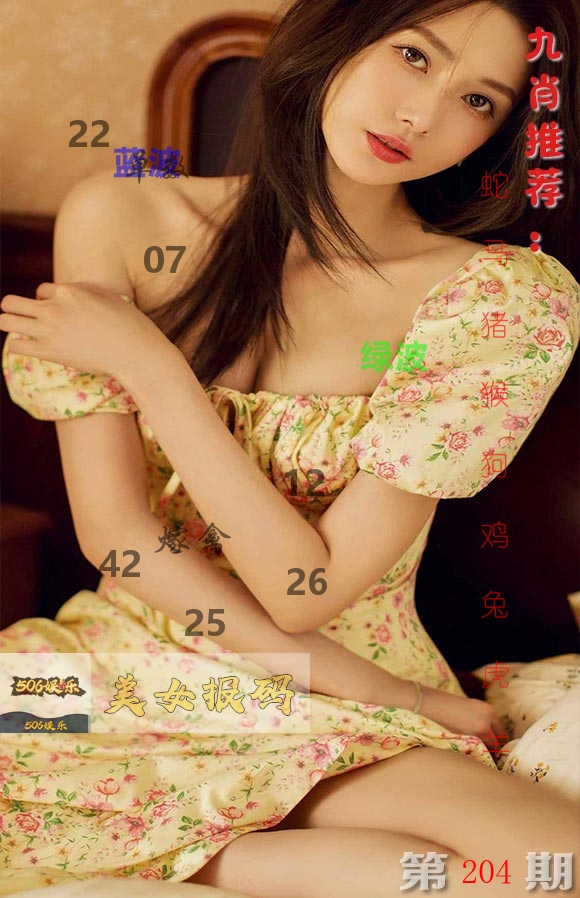 美女报码 第204期