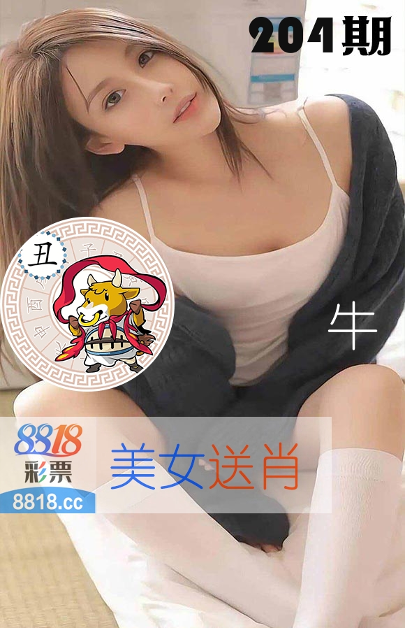 美女送肖 第204期