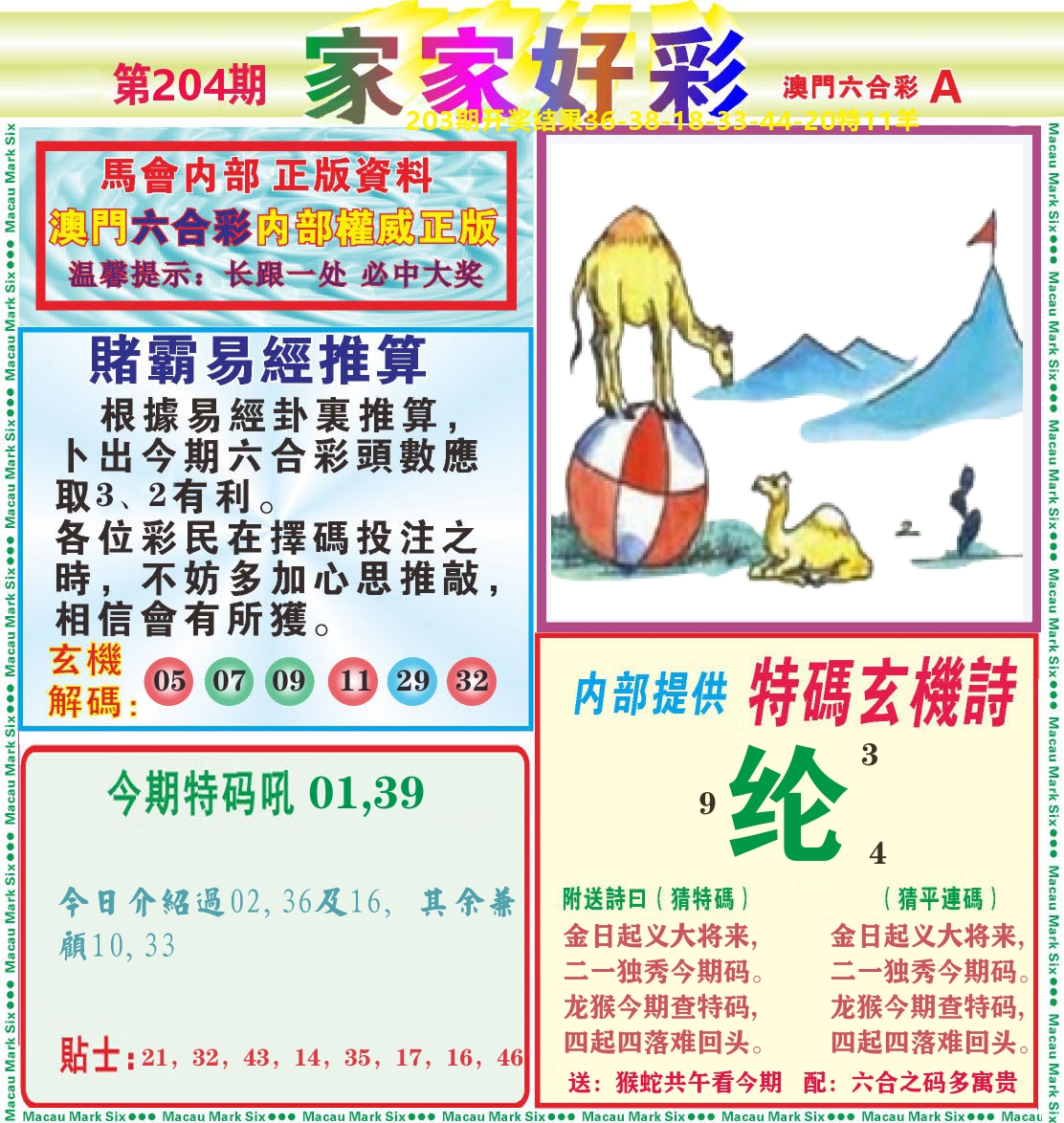 家家好彩A 第204期