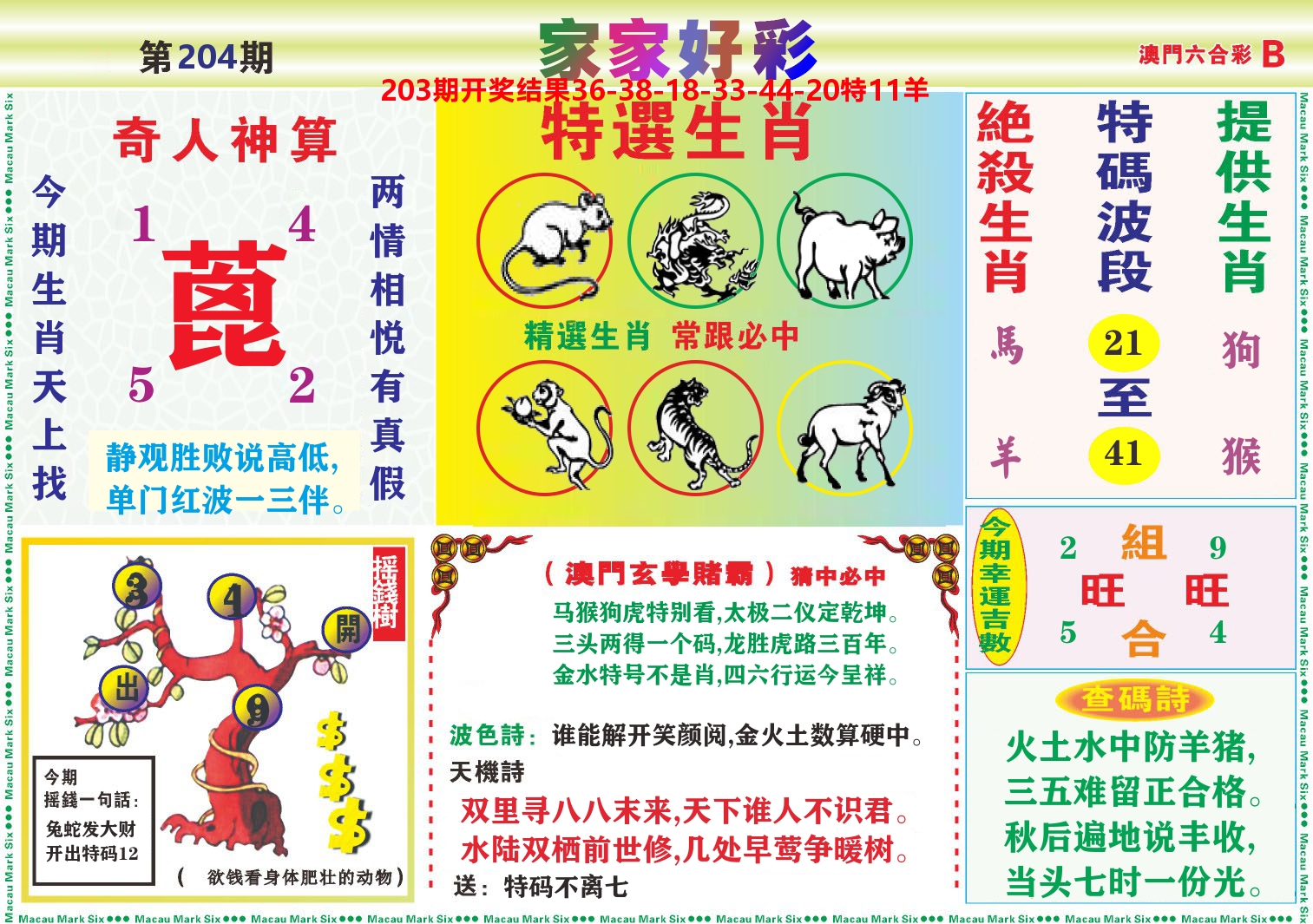 家家好彩B 第204期
