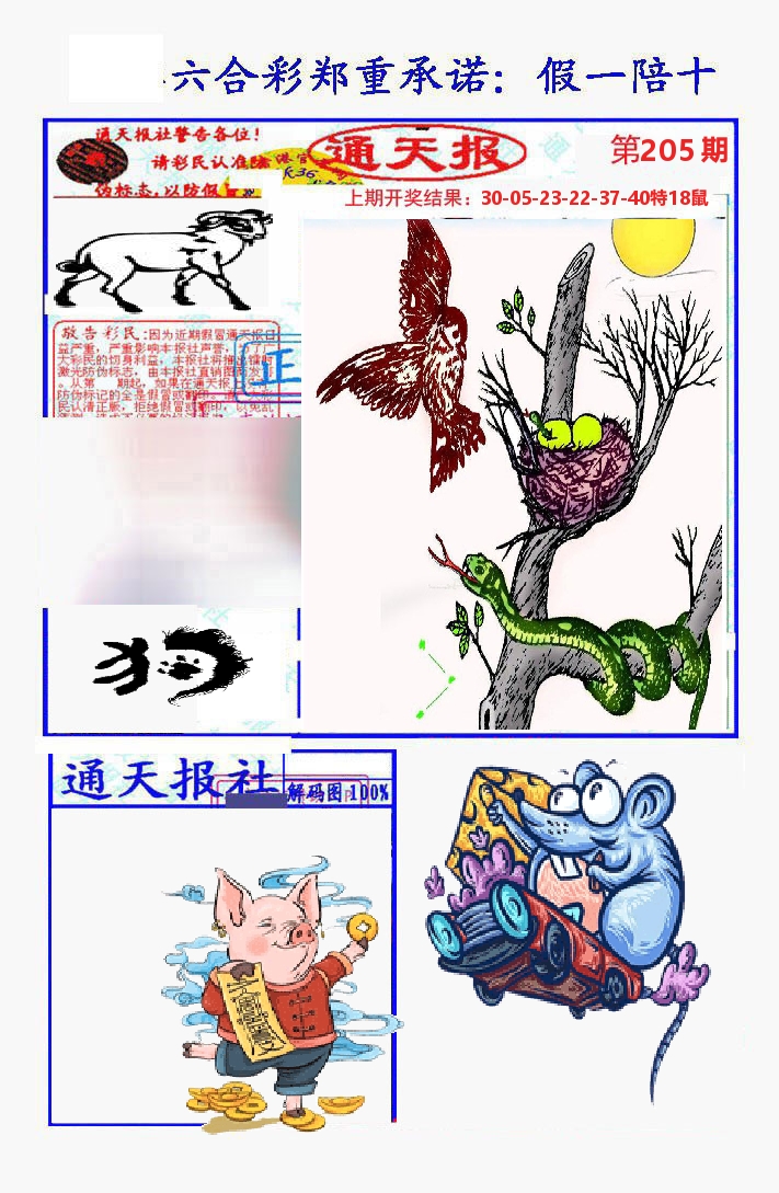 通天报 第205期