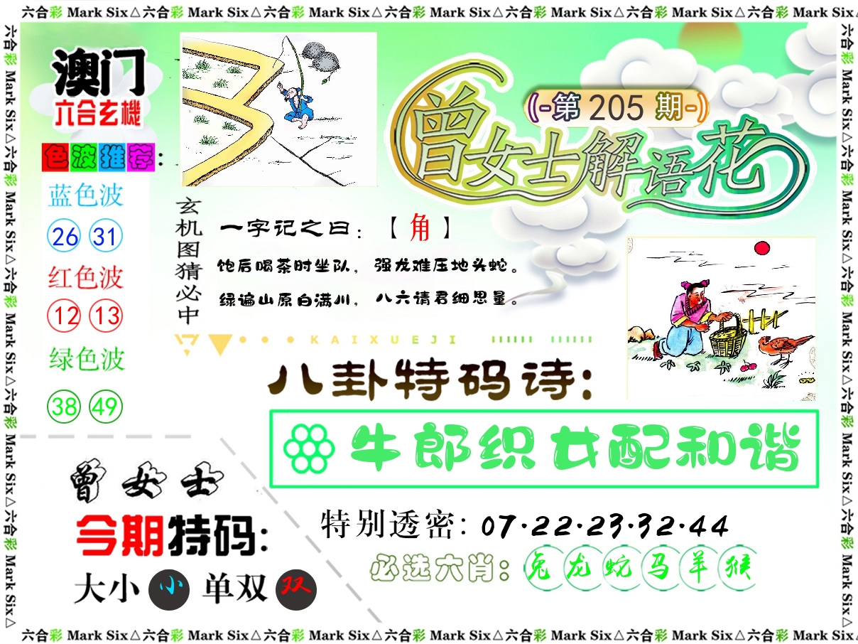 曾女士解语花 第205期