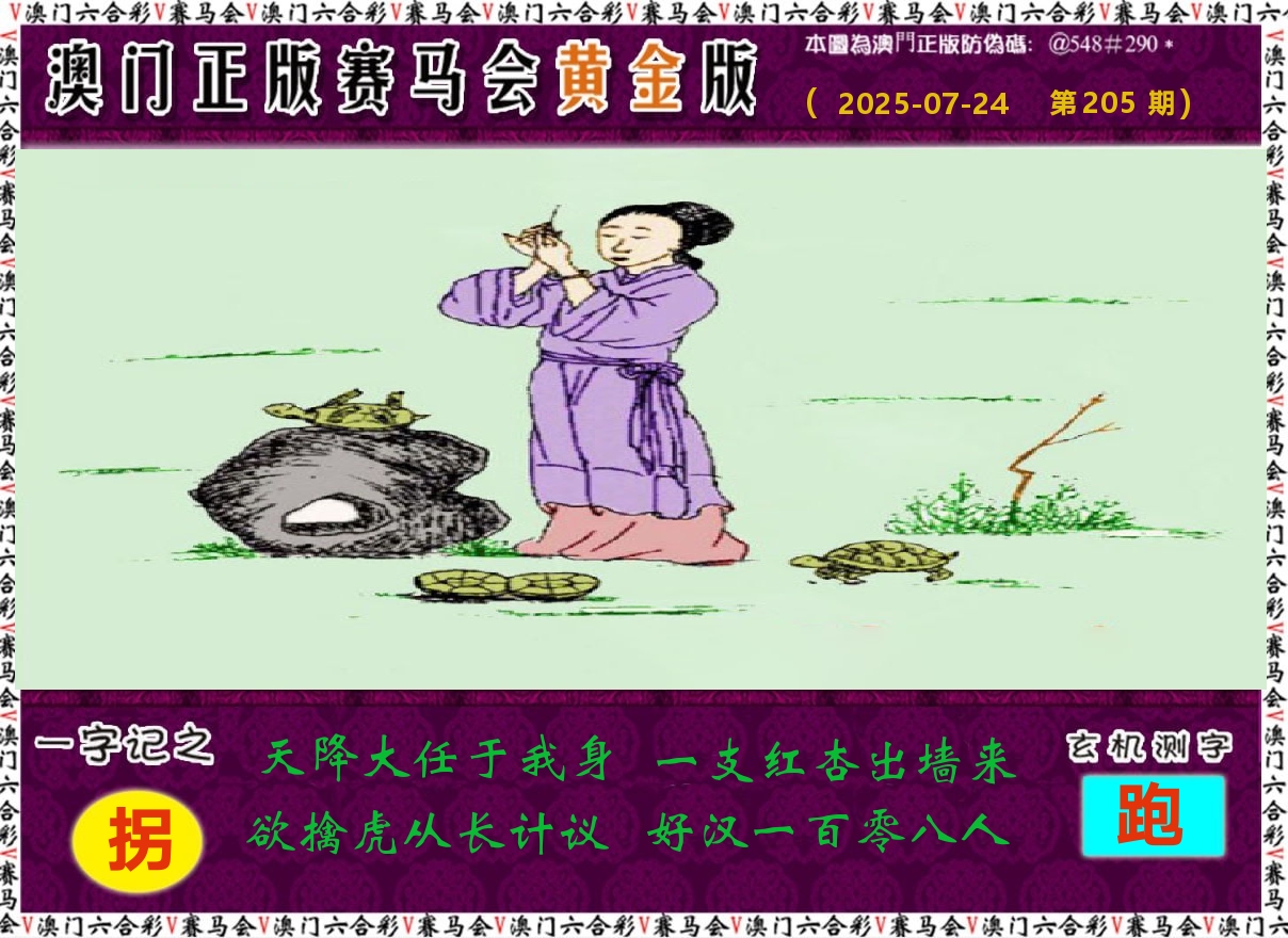赛马会黄金版 第205期