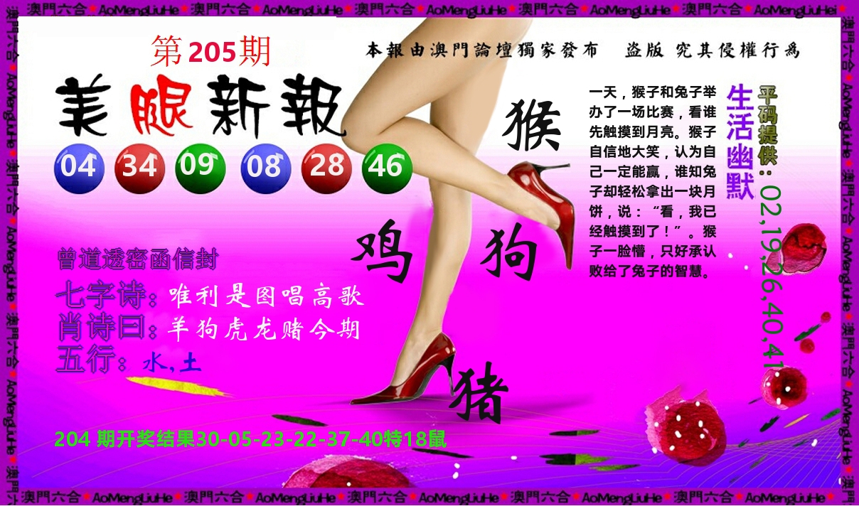 美腿新报 第205期