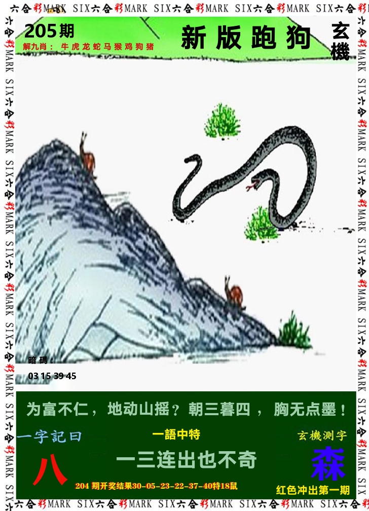 悟入其图 第205期
