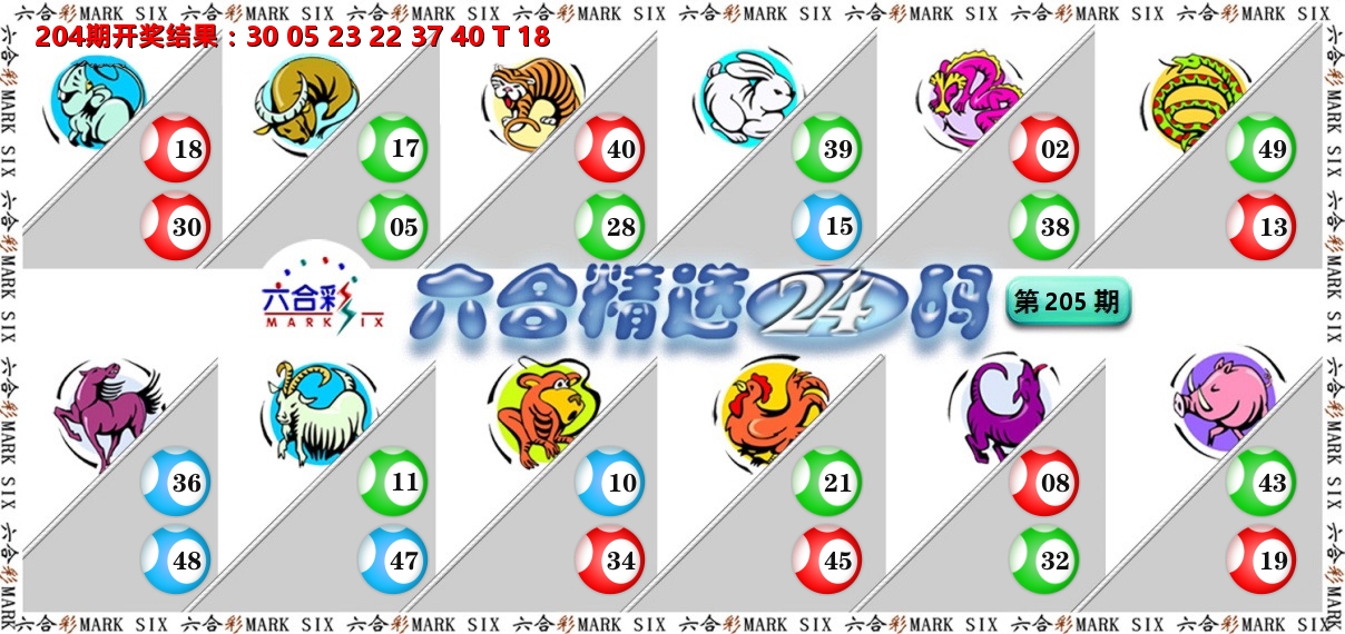 六合精选24码 第205期