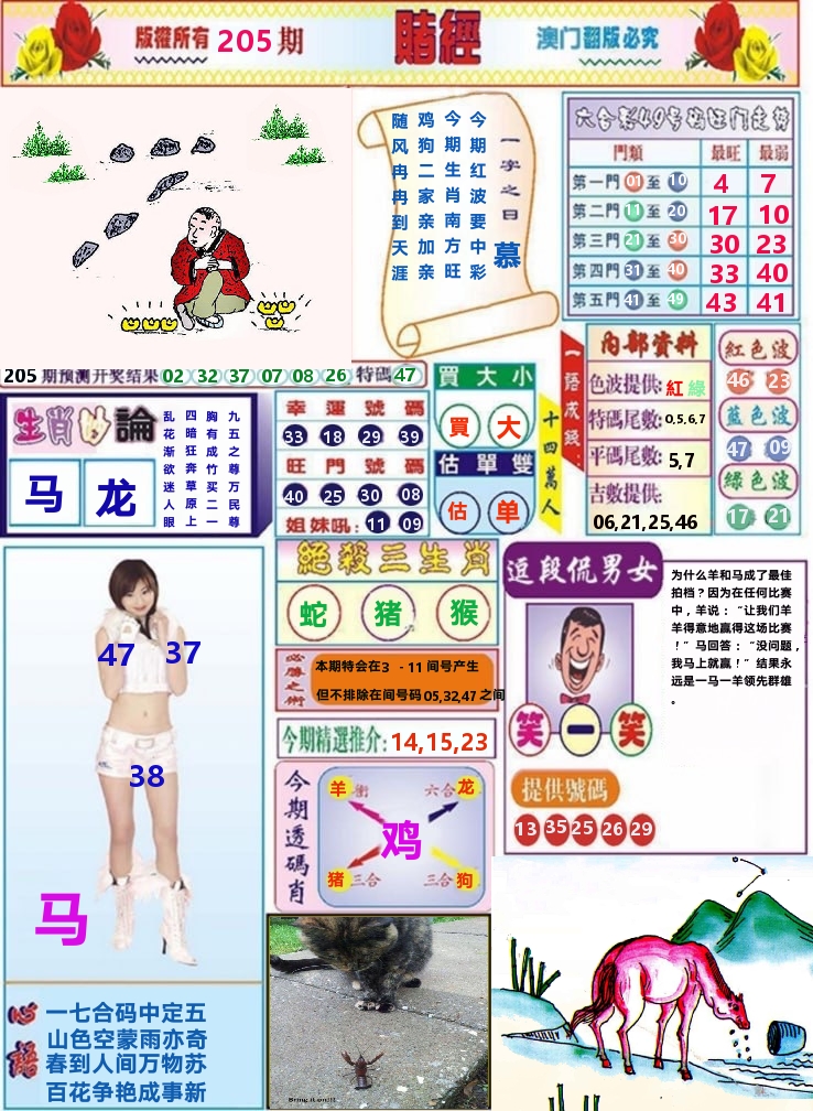澳门赌经 第205期
