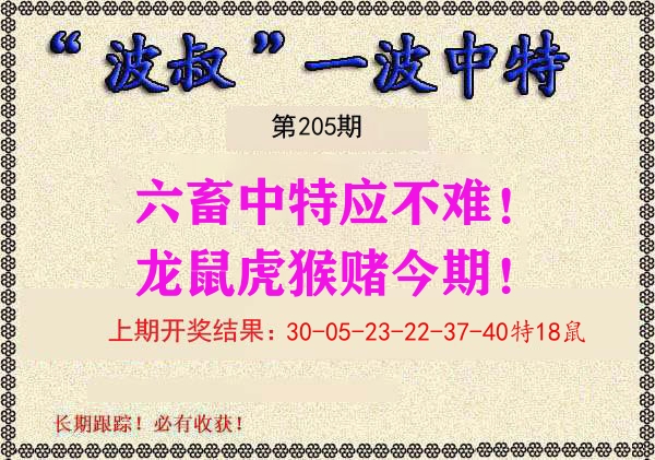 波叔中特 第205期