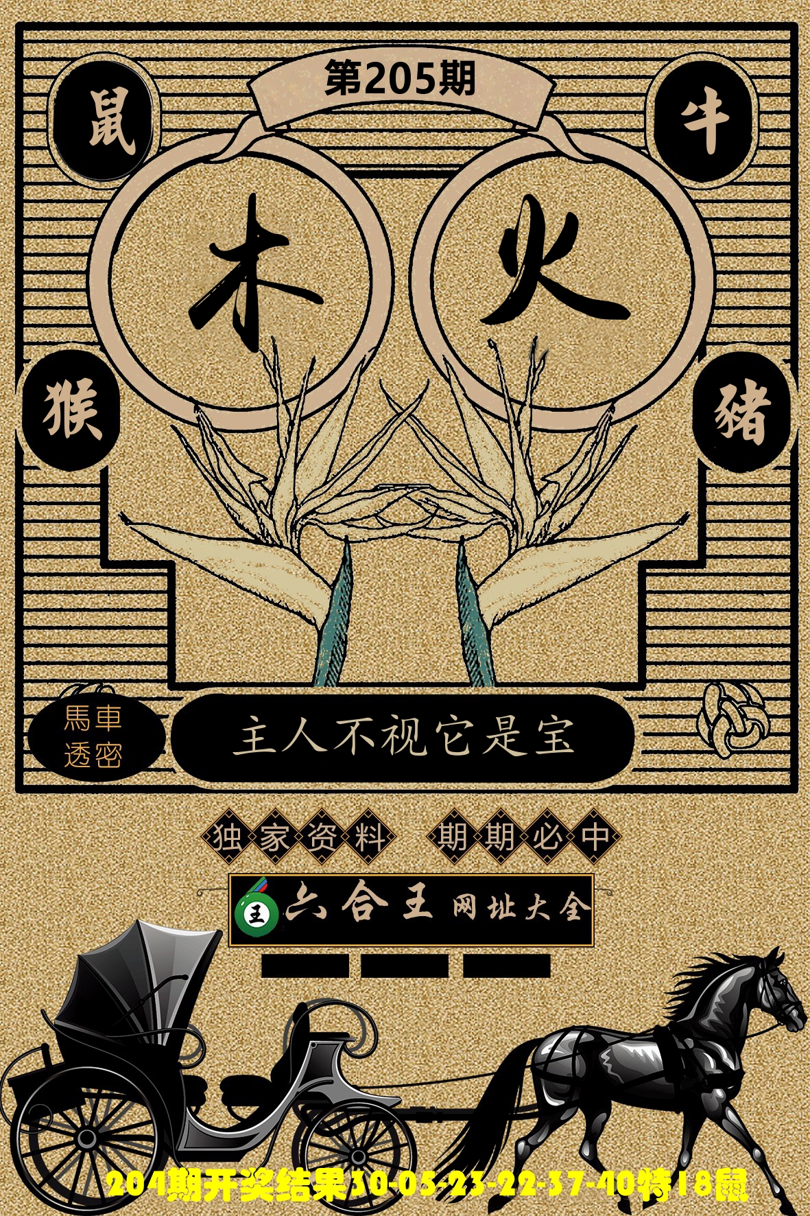 六合王马车透密 第205期