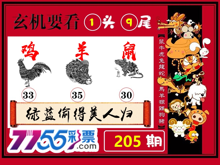 玄机要看 第205期