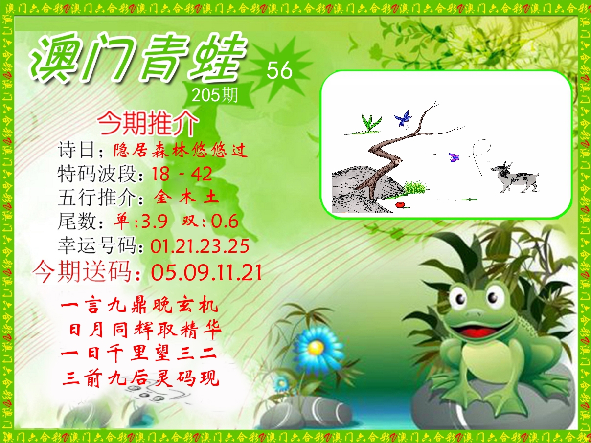 青蛙系列56 第205期