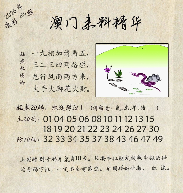 精华来料 第205期