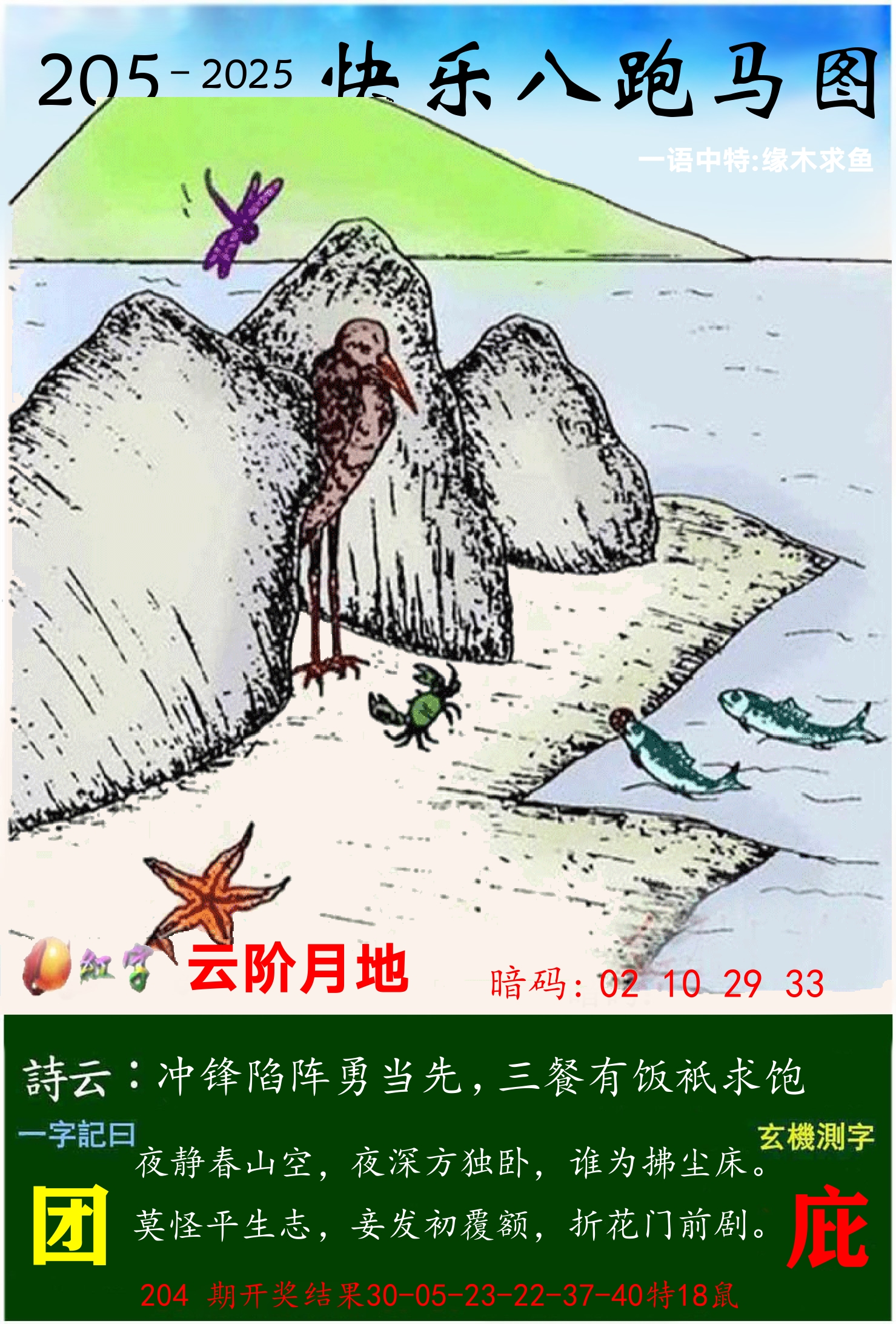 澳门跑马 第205期