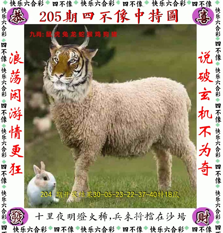 四不像 第205期