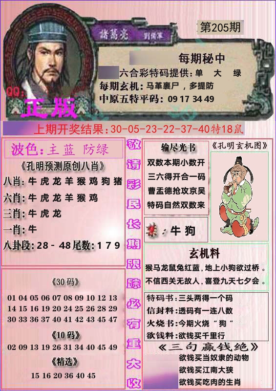 诸葛亮正版 第205期