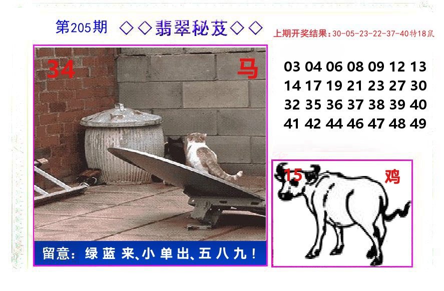 翡翠秘芨 第205期