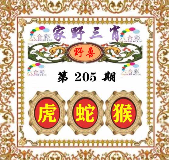家野三肖 第205期