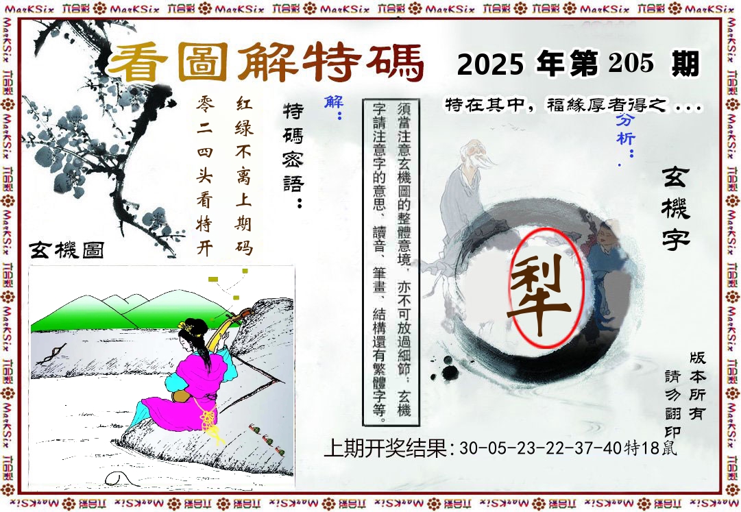 看图解特码 第205期