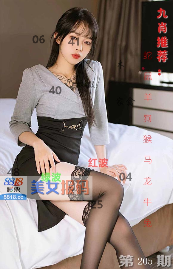 美女报码 第205期