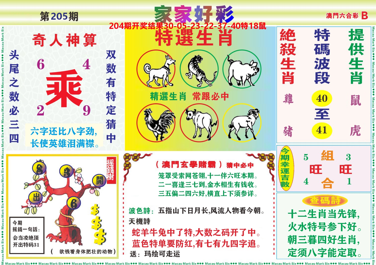 家家好彩B 第205期