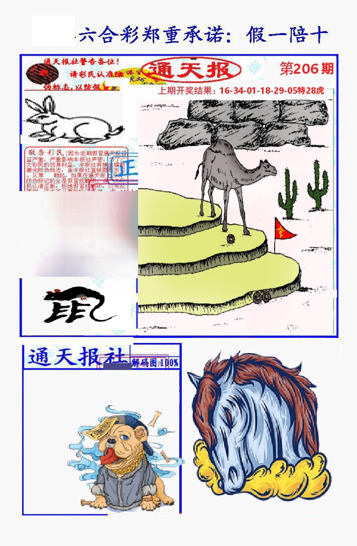通天报 第206期