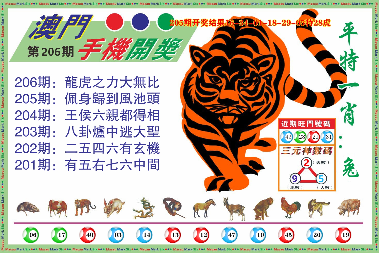 澳门开奖报 第206期