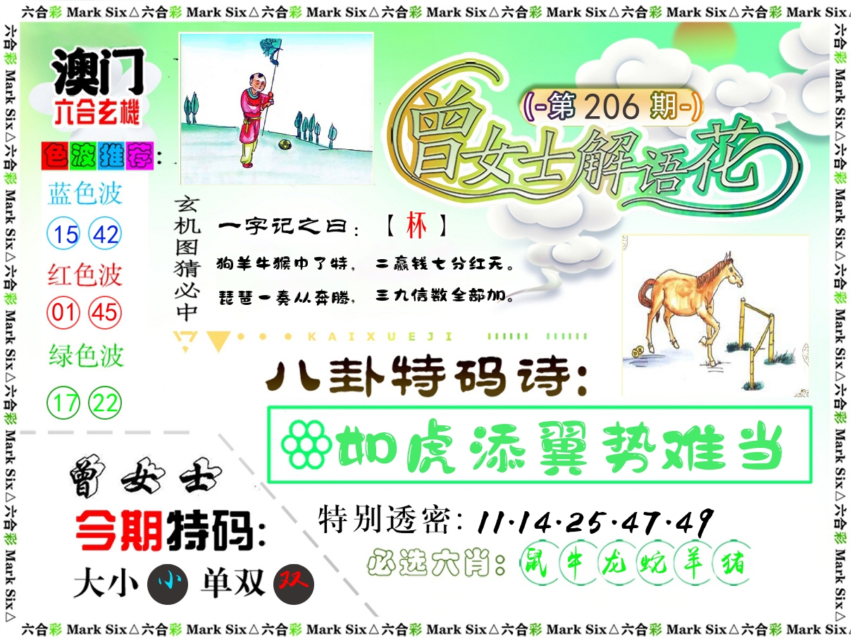 曾女士解语花 第206期