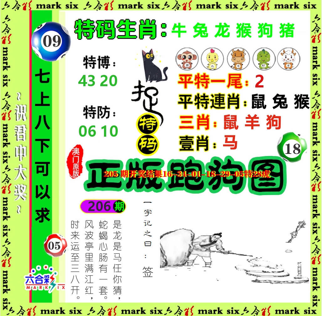 正版跑狗图 第206期