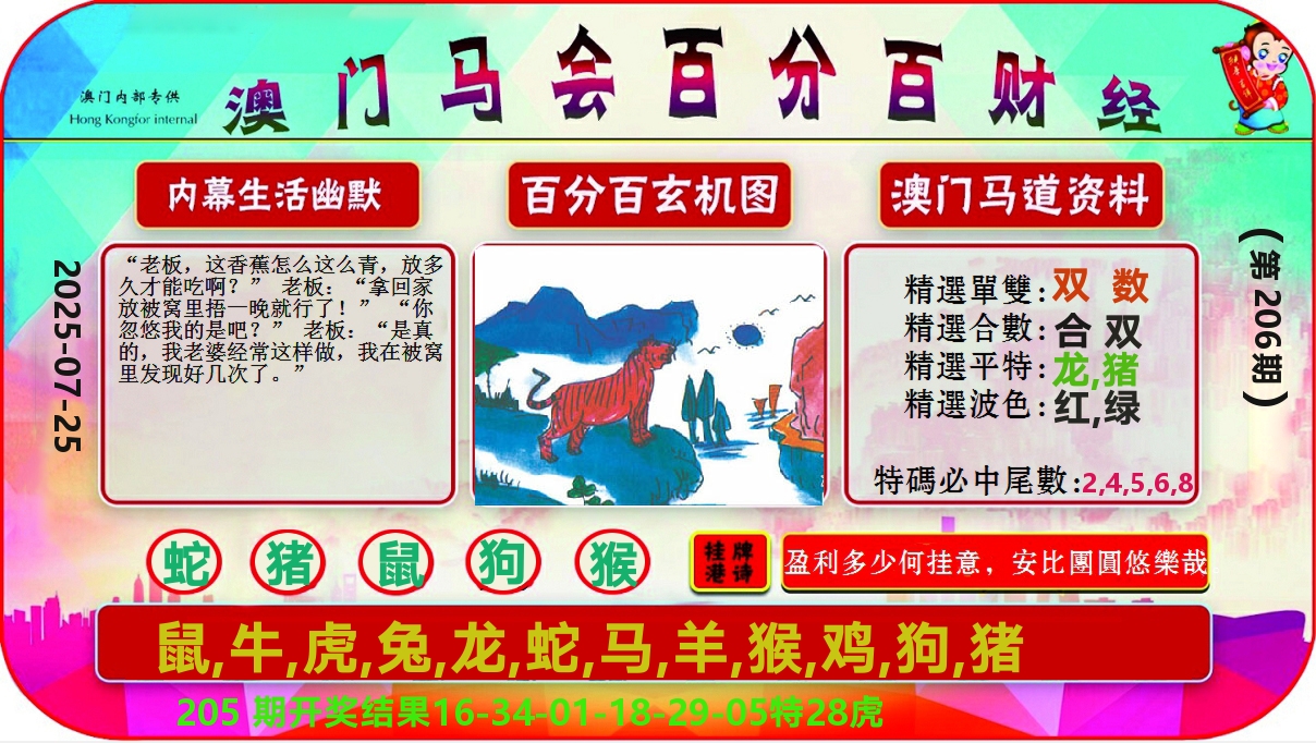 百分百财经 第206期
