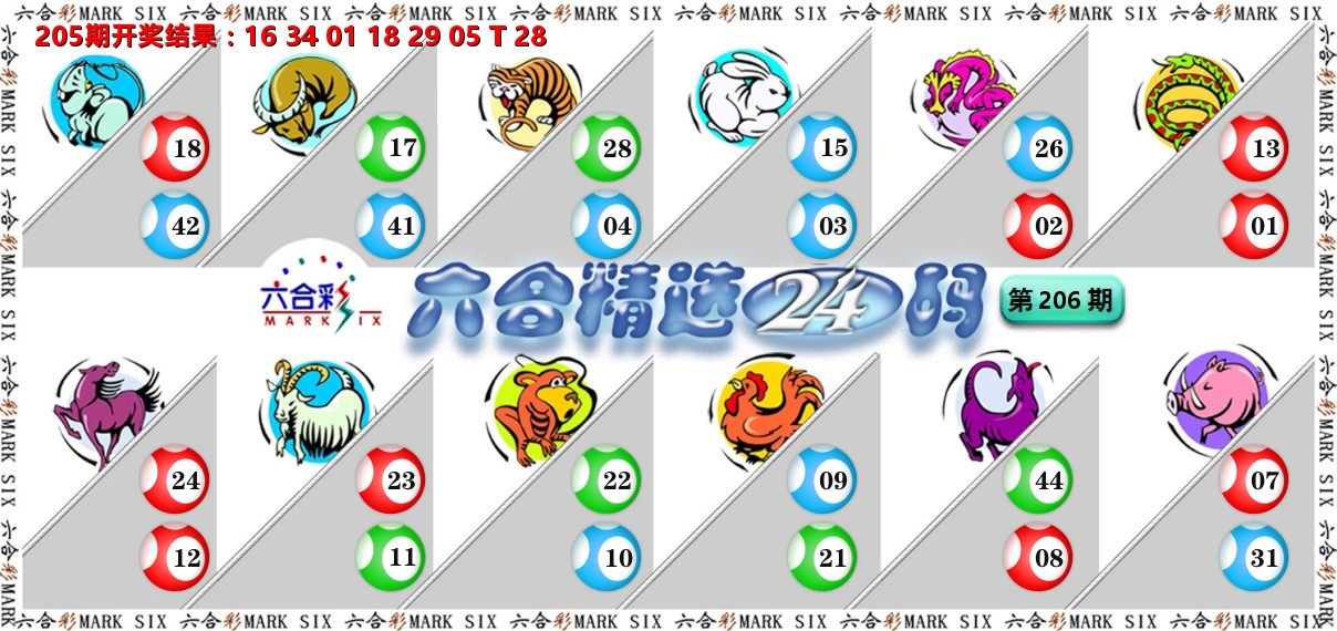 六合精选24码 第206期
