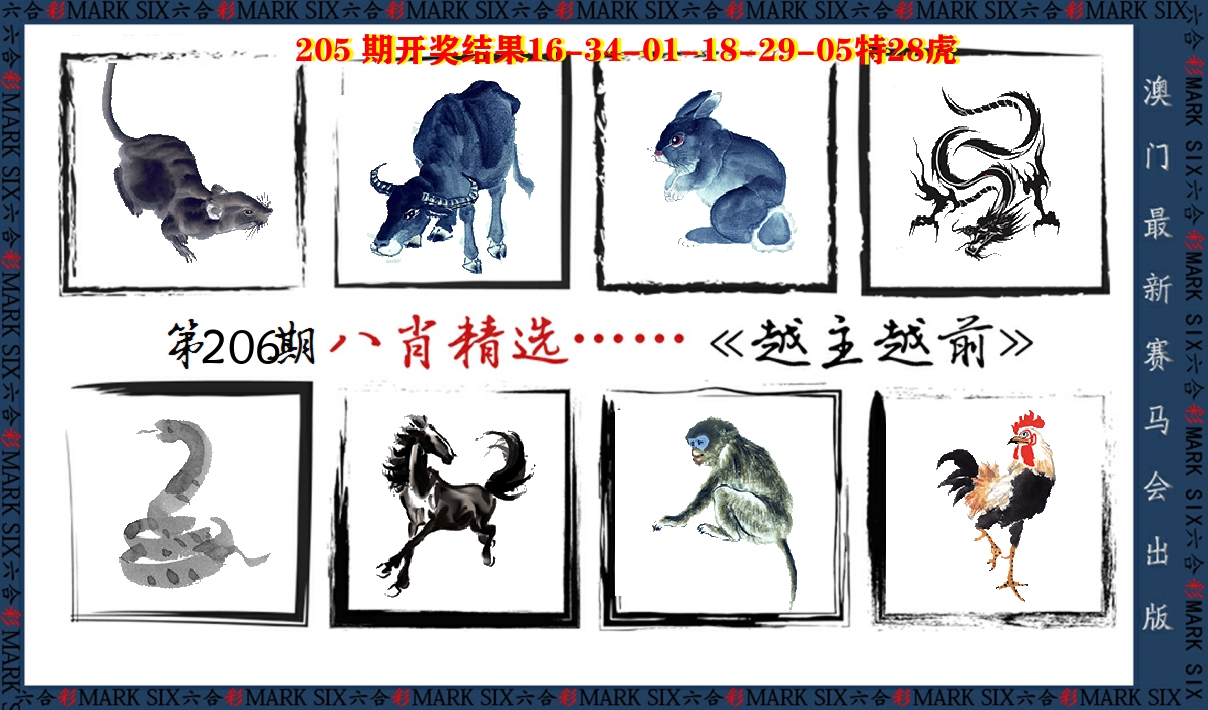 八肖精选 第206期