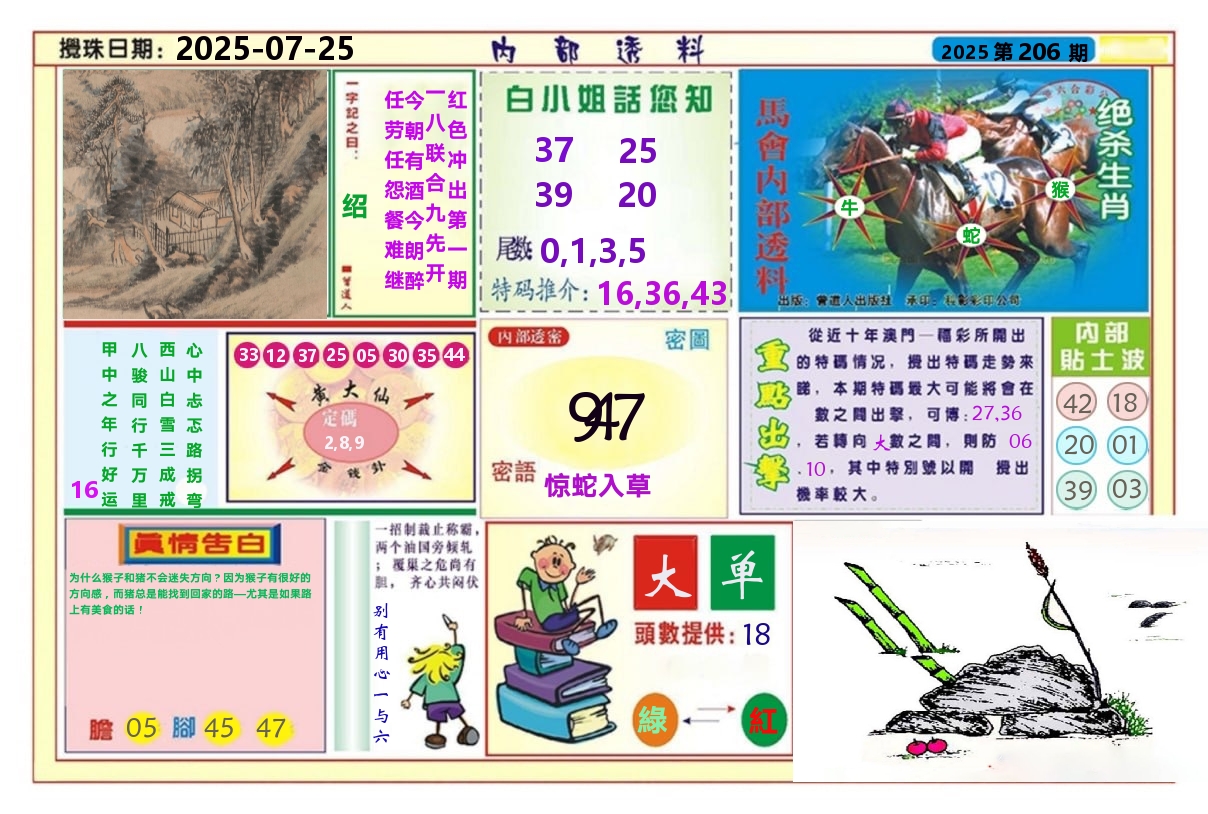 澳门内部透料A 第206期