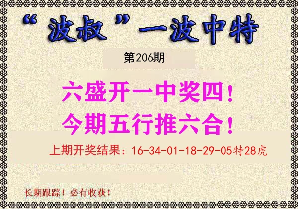 波叔中特 第206期