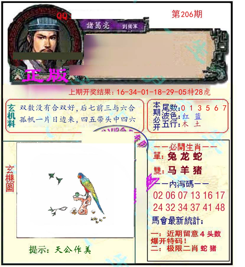 诸葛亮玄机 第206期
