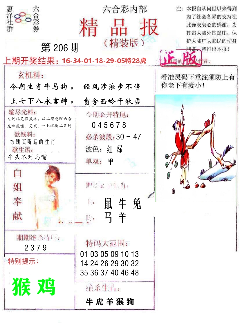 精品报 第206期