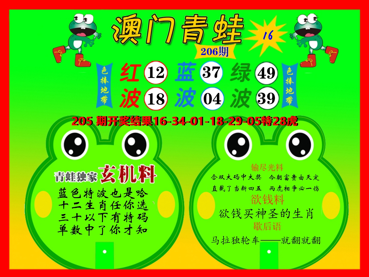 青蛙系列16 第206期