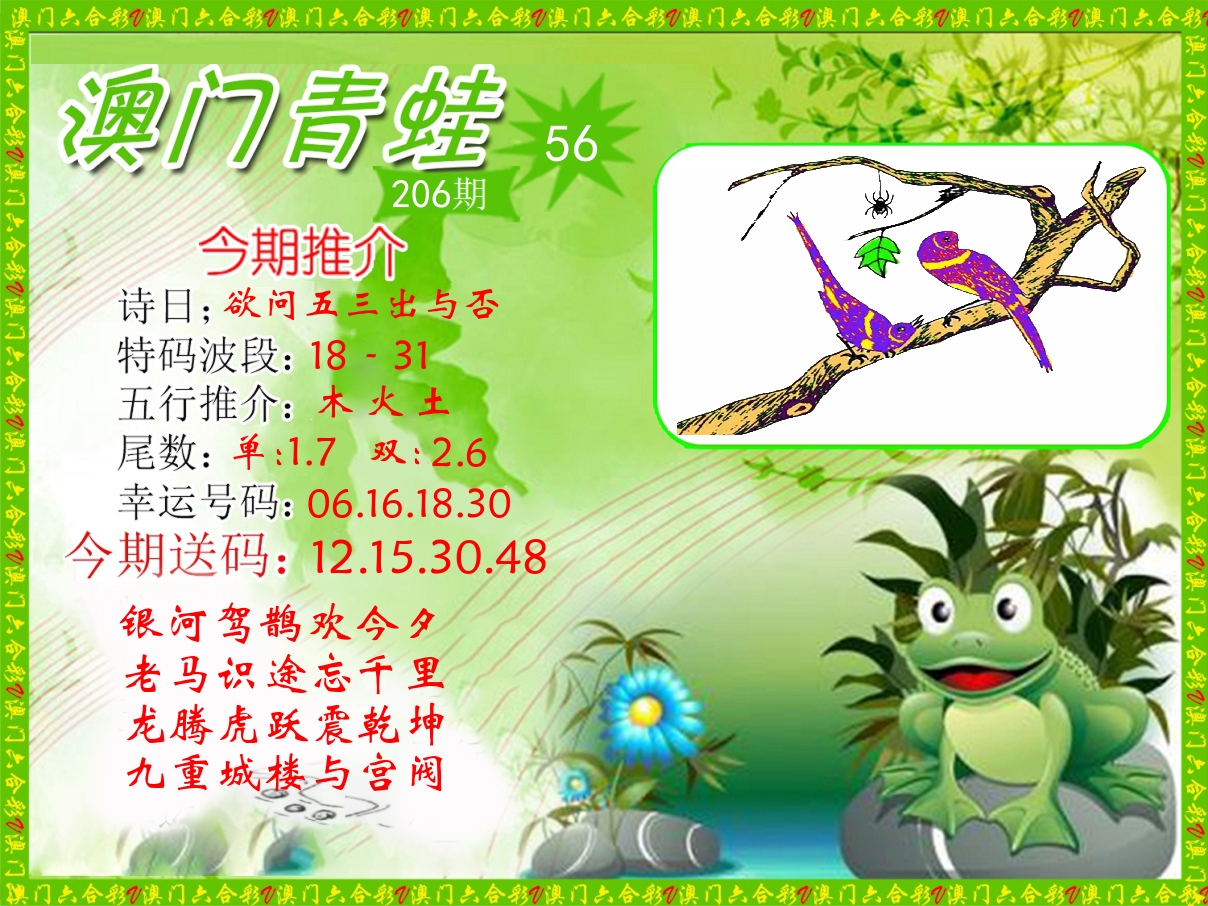 青蛙系列56 第206期