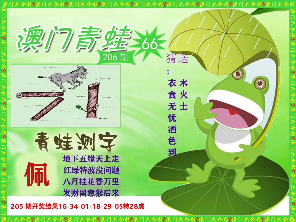 青蛙系列66 第206期