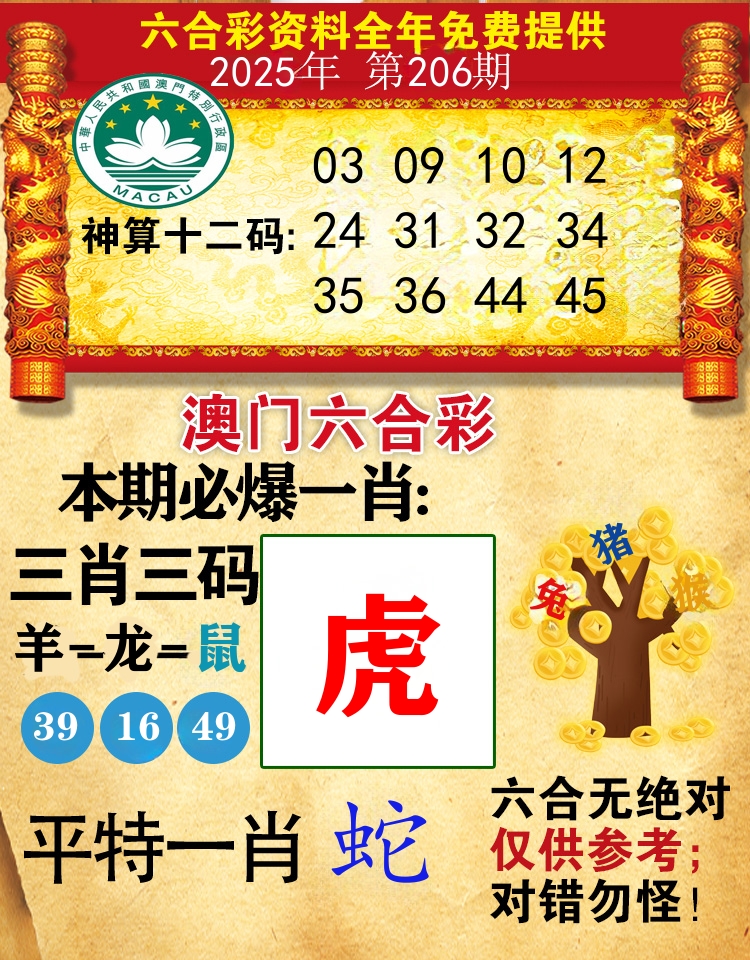 澳门必爆 第206期
